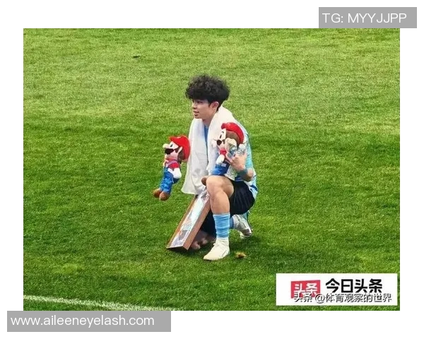 金毛犬在足球场上的明星表现及其代表性球员介绍