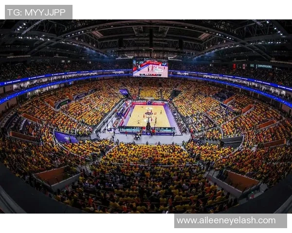 2013年男篮对战日本精彩回顾与赛后分析