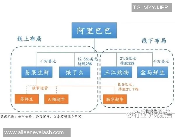 打造专业体育器材代理品牌提升市场竞争力与用户体验